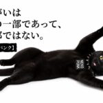 黒猫が寝っ転がってバンザイしている画像