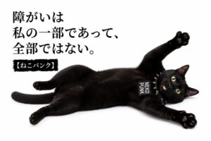 黒猫が寝っ転がってバンザイしている画像