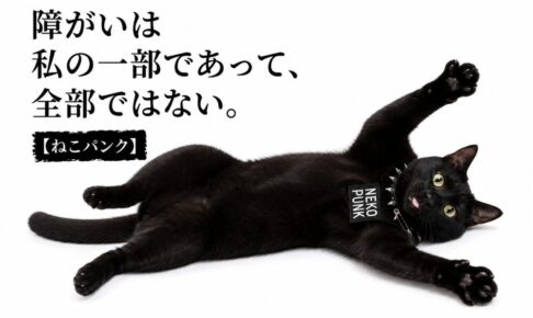 黒猫が寝っ転がってバンザイしている画像