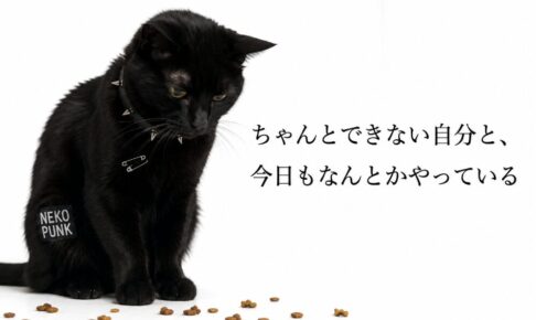 食事後にご飯が散らばっていてしょんぼりしている黒猫