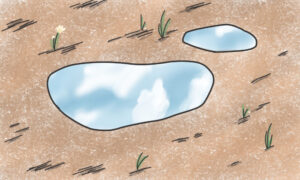 雨上がりの地面に空を映した水たまりと、小さな草花が描かれたイラスト。