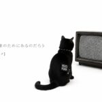 黒猫がテレビを眺めている画像