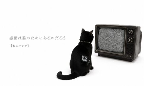 黒猫がテレビを眺めている画像