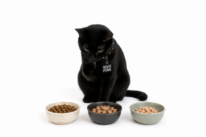三つのご飯のうち、どれを選ぶか悩んでいる黒猫