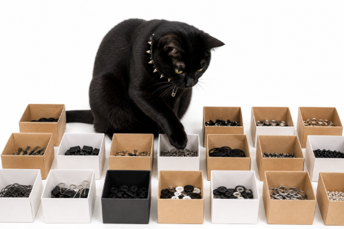 黒猫が小箱の中身を仕分けしている画像