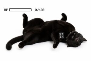 ストレスでひっくり返っている黒猫