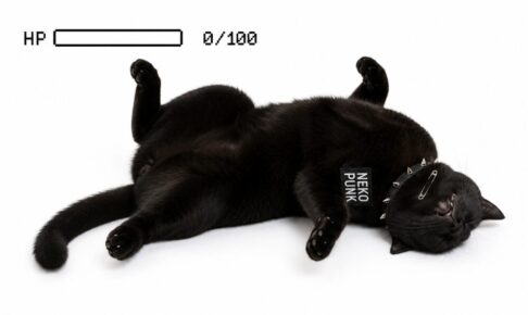 ストレスでひっくり返っている黒猫