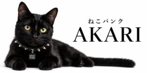 ねこパンクバナー