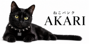 ねこパンクバナー