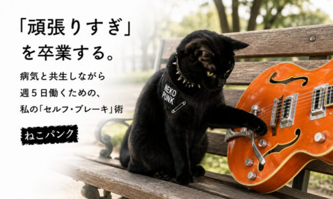 公園のベンチでギターを触っている黒猫