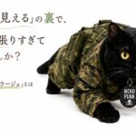 黒猫が迷彩服を着て忍足で前進している画像