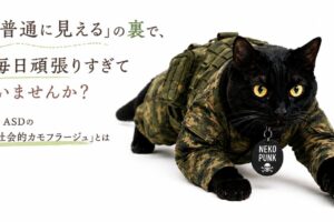 黒猫が迷彩服を着て忍足で前進している画像