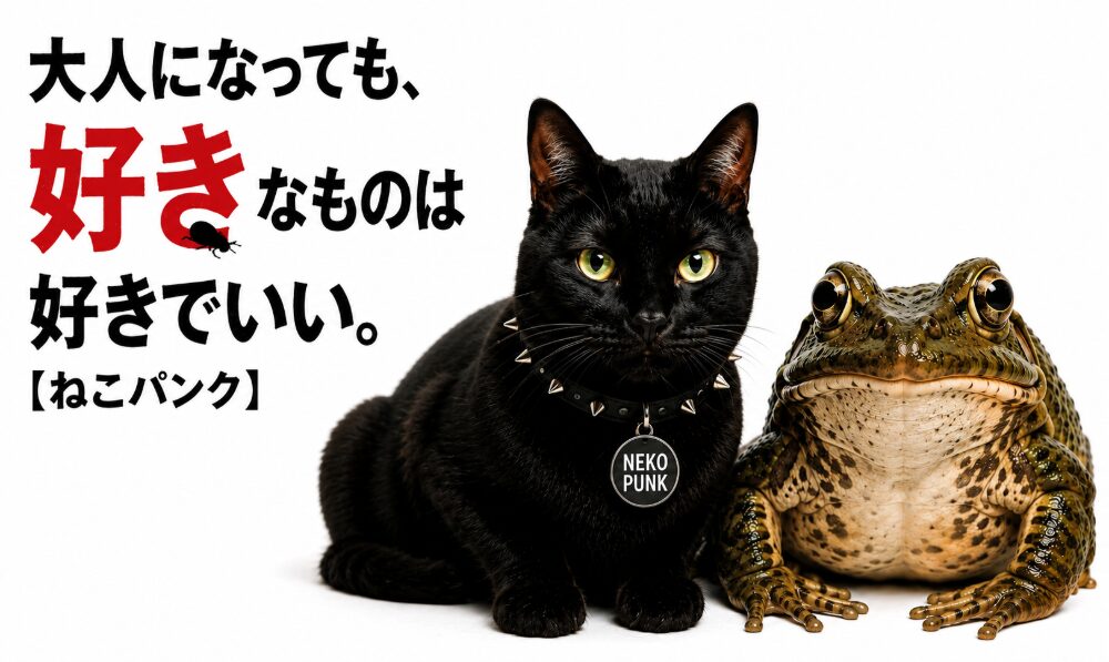 黒猫とカエルが並んでいる画像