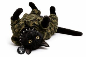 迷彩服を着てゴロリンしている黒猫