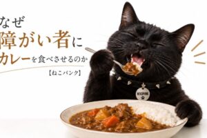 黒猫が美味しそうにカレーを食べている画像