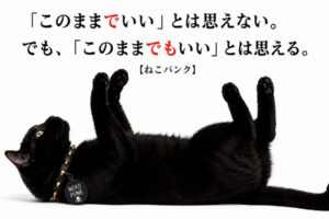 黒猫がひっくり返っている画像